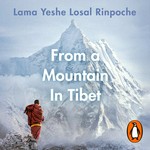 mountain tibet.jpg