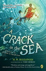 A crack in the sea / H.M. Bouwman ; illustrated by Yuko Shimizu.