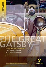 The great Gatsby, F. Scott Fitzgerald / notes by Julian Cowley.