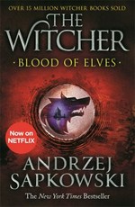 Blood of elves / Andrzej Sapkowski ; translated by Danusia Stok.