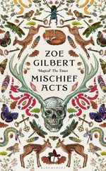 Mischief acts / Zoe Gilbert.