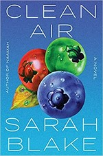 Clean air : a novel / Sarah Blake.