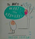 The Hueys in What's the opposite? / Oliver Jeffers.