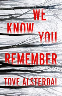 We know you remember : We know you remember : a novel / Tove Alsterdal ; English translation by Alice Menzies.
