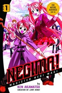 Negima! : Volume 1 / Ken Akamatsu ; translated by Hajime Honda.