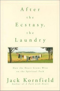 After the ecstasy, the laundry : how the heart grows wise on the spiritual path / Jack Kornfield.