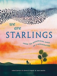 We are starlings : inside the mesmerizing magic of a murmuration / written by Robert Furrow & Donna Jo Napoli ; illustrated by Marc Martin.