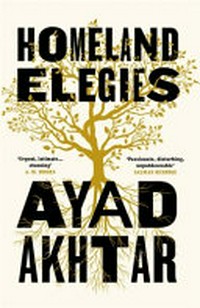 Homeland elegies / Ayad Akhtar.