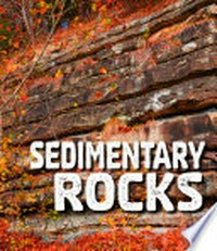 Sedimentary rocks / by Ava Sawyer.