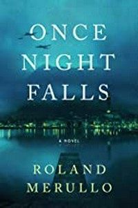 Once night falls : a novel / Roland Merullo.