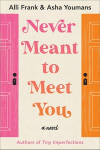 Never meant to meet you : a novel / Alli Frank & Asha Youmans.