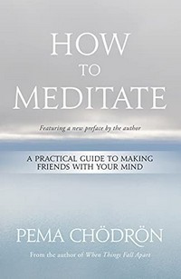 How to meditate : a practical guide to making friends with your mind / Pema Chödrön.