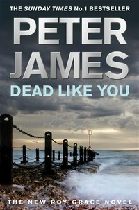 Dead like you: Peter James.