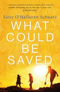 What could be saved / Liese O'Halloran Schwarz.