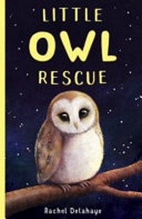 Little owl rescue / Rachel Delahaye ; illustrations, Jo Anne Davies ; cover art by Suzie Mason.