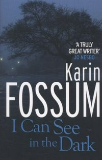 I can see in the dark / Karin Fossum ; translated from the Norwegian by James Anderson.