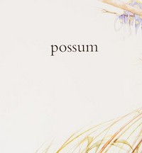 Possum magic : animals / Mem Fox ; Julie Vivas.
